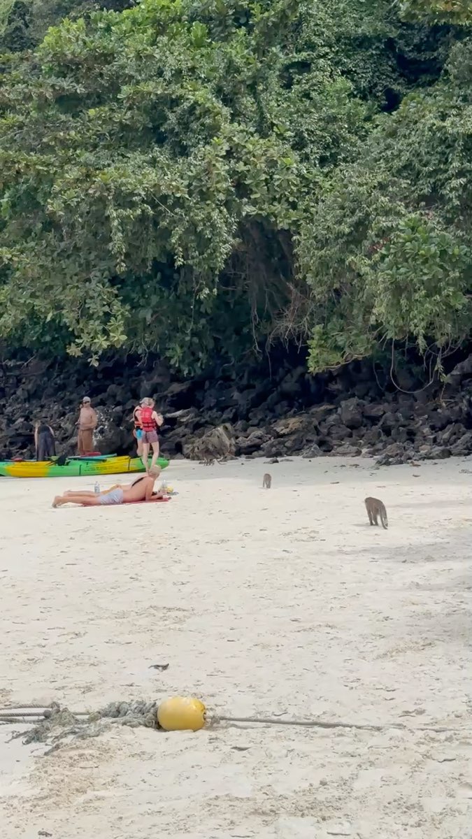 Monkey Beach | 去趣 chicTrip