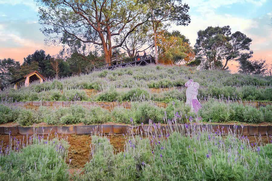 薰衣草森林台中新社店 | 去趣 chicTrip