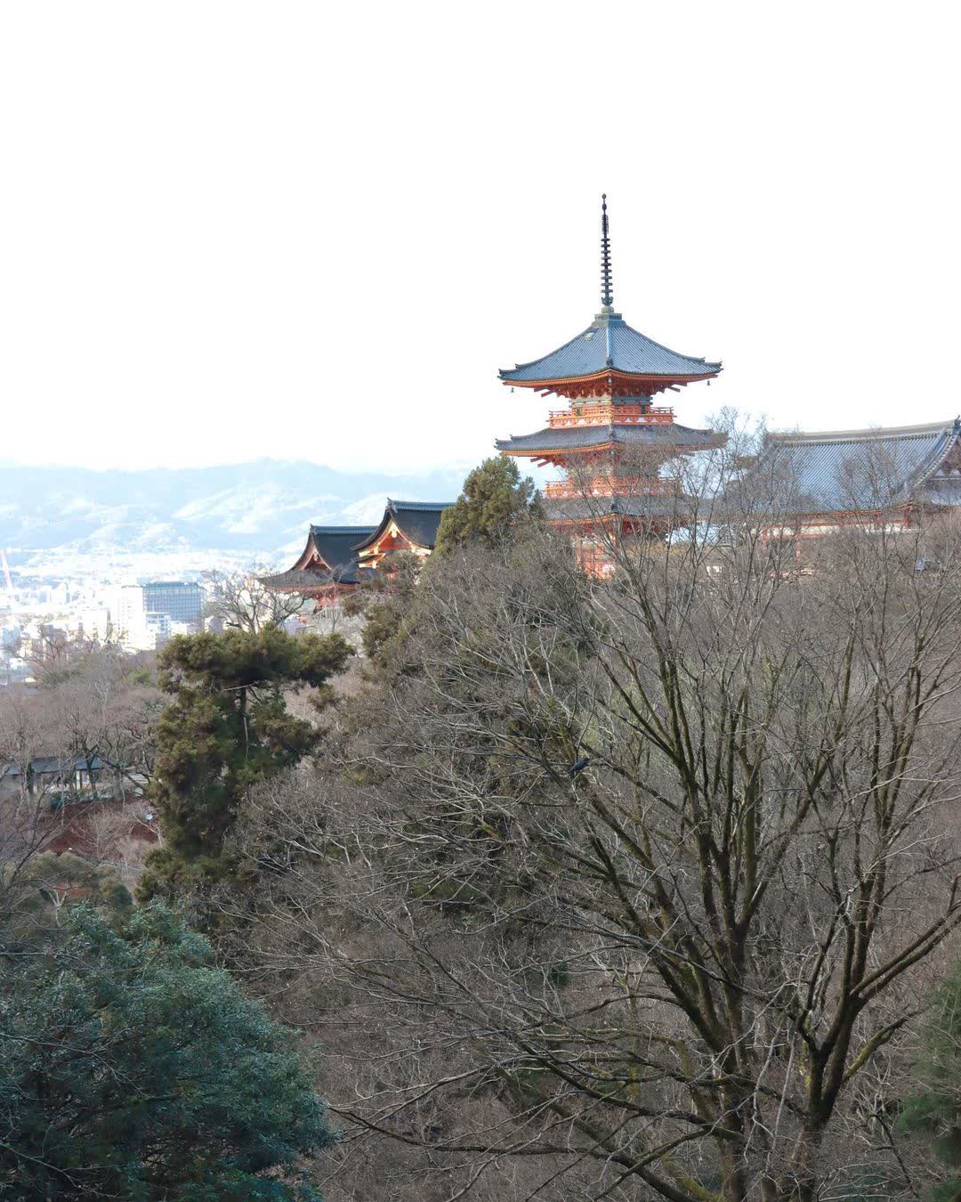 清水寺 | 去趣 chicTrip