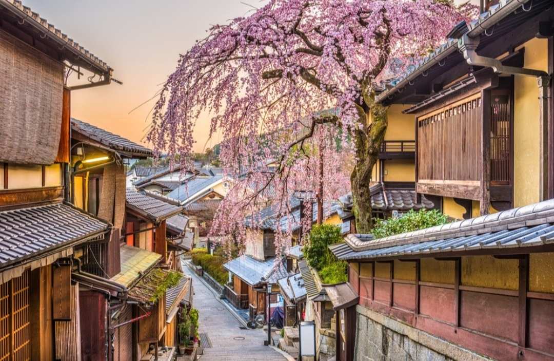 京都花見小路 | 去趣 chicTrip