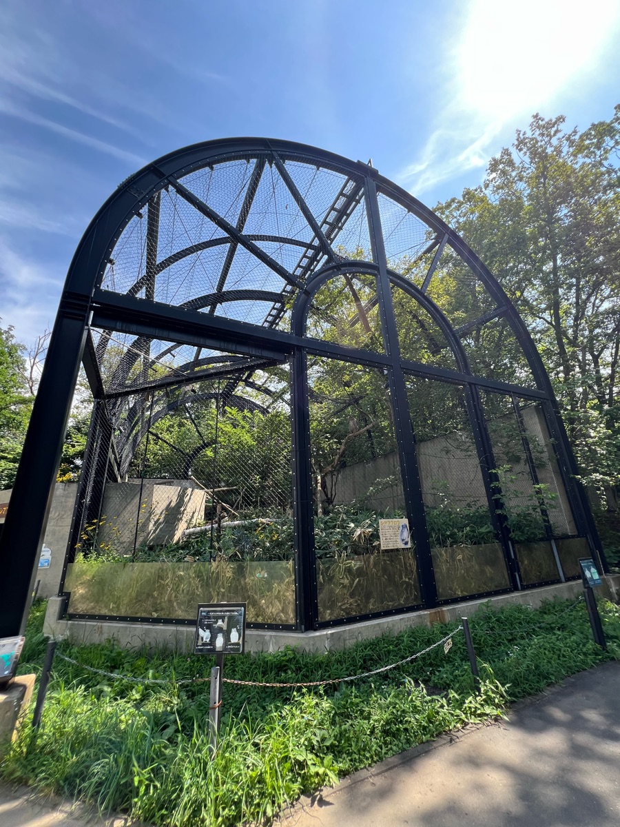 旭山動物園 | 去趣 chicTrip