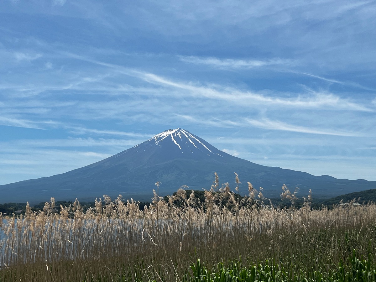 大石公園 | 去趣 chicTrip