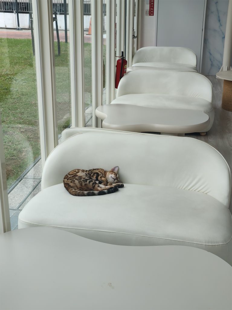 苗栗火車頭園區 | 去趣 chicTrip