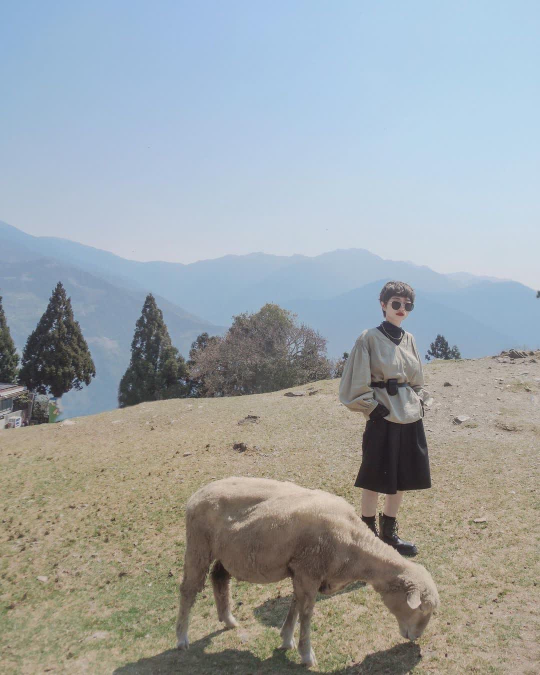 清境農場綿羊秀 | 去趣 chicTrip