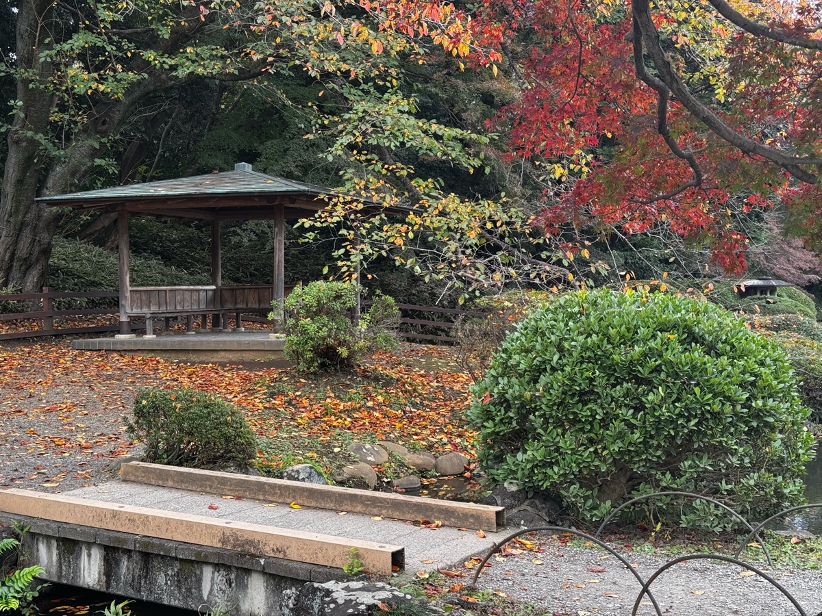 新宿御苑 | 去趣 chicTrip