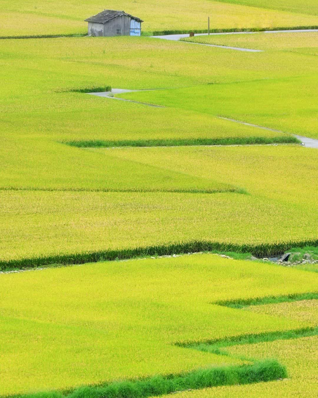 外埔忘憂谷 | 去趣 chicTrip