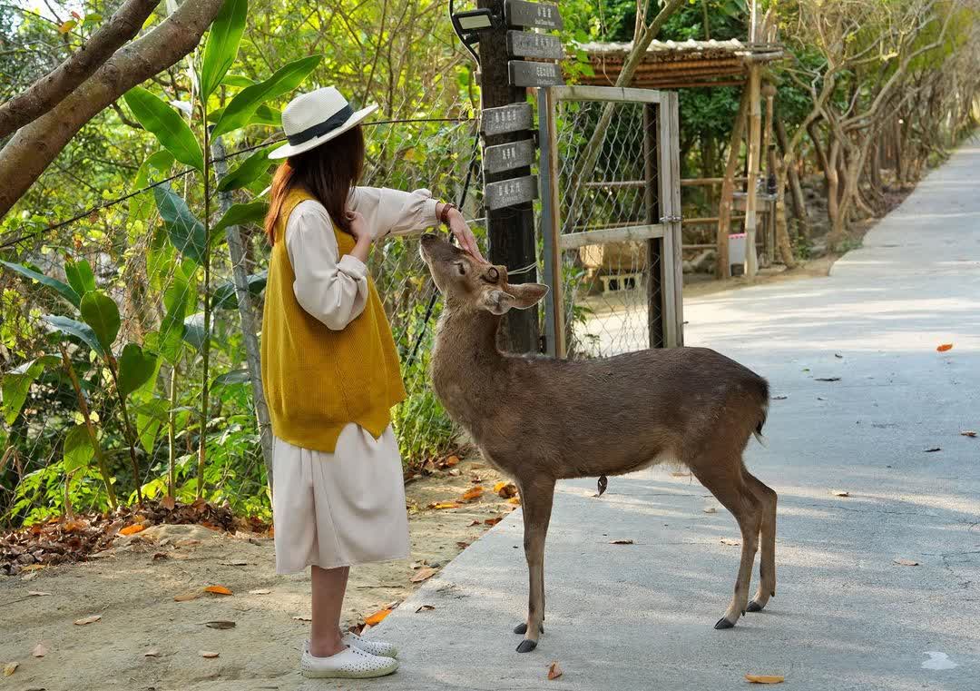 阿信巧克力農場 | 去趣 chicTrip