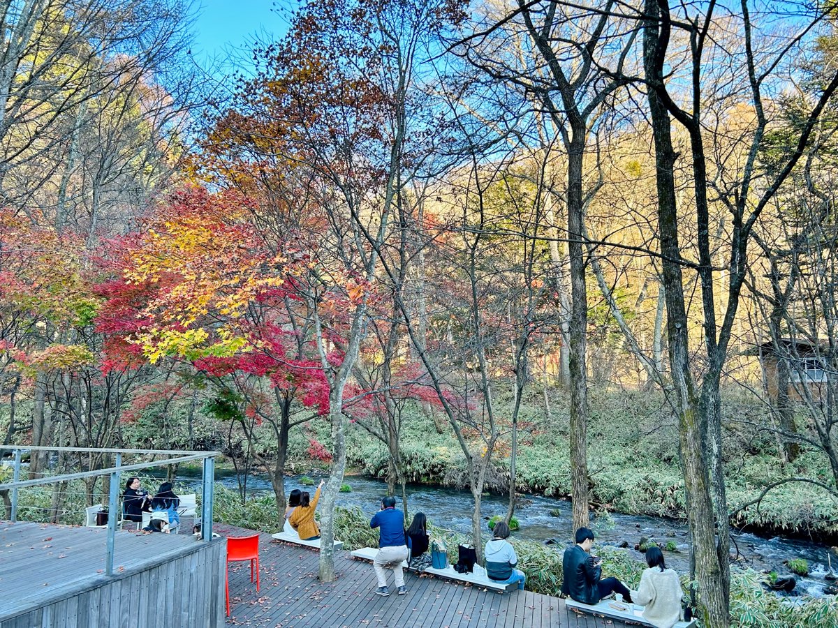 榆樹街小鎮 | 去趣 chicTrip