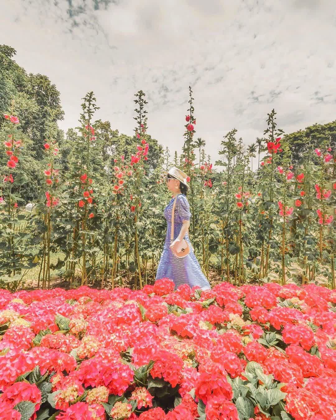 花露農場 Flower Home | 去趣 chicTrip