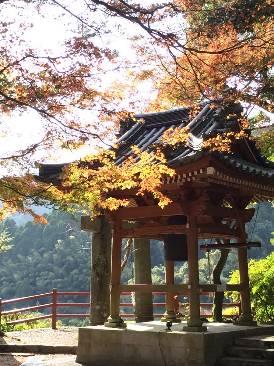 大興善寺 | 去趣 chicTrip