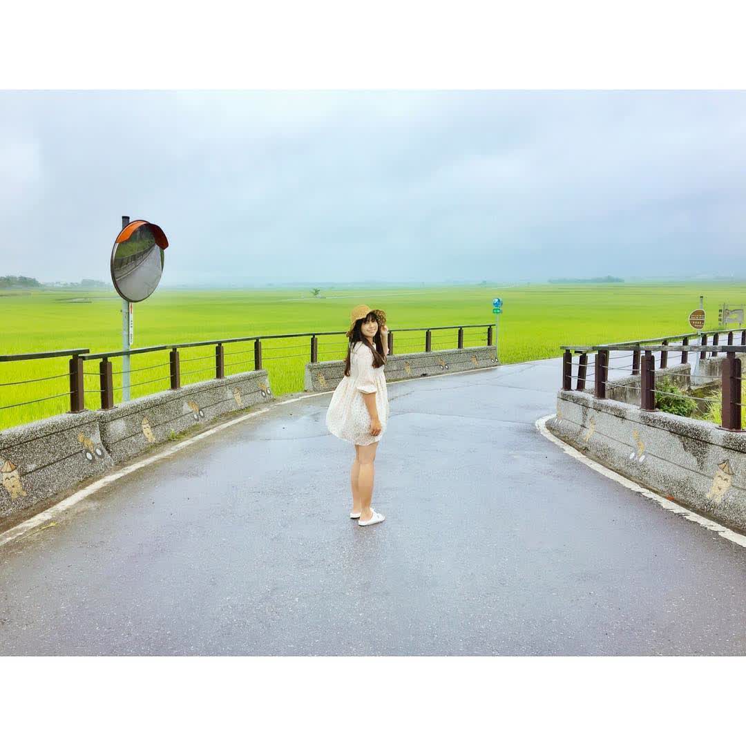 奉茶樹 金城武樹 | 去趣 chicTrip