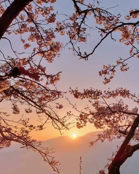 祝山觀日平臺 | 去趣 chicTrip