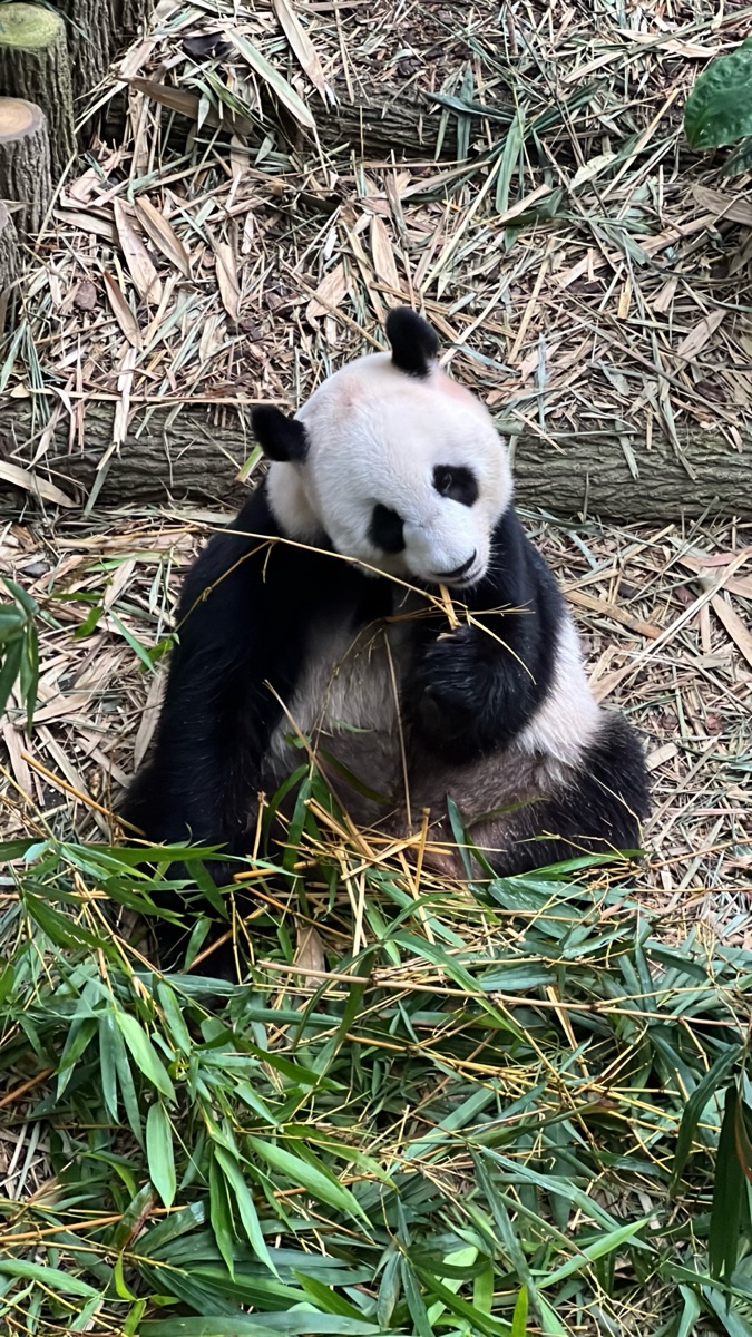 河川生態園 | 去趣 chicTrip