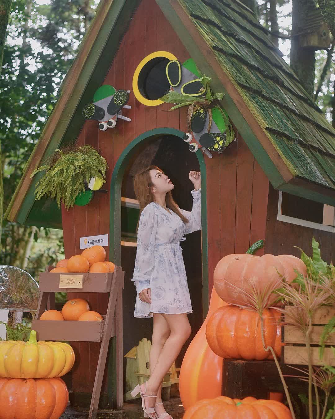 薰衣草森林台中新社店 | 去趣 chicTrip