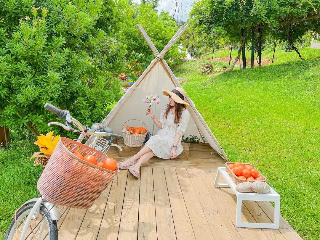 橙香森林 | 去趣 chicTrip