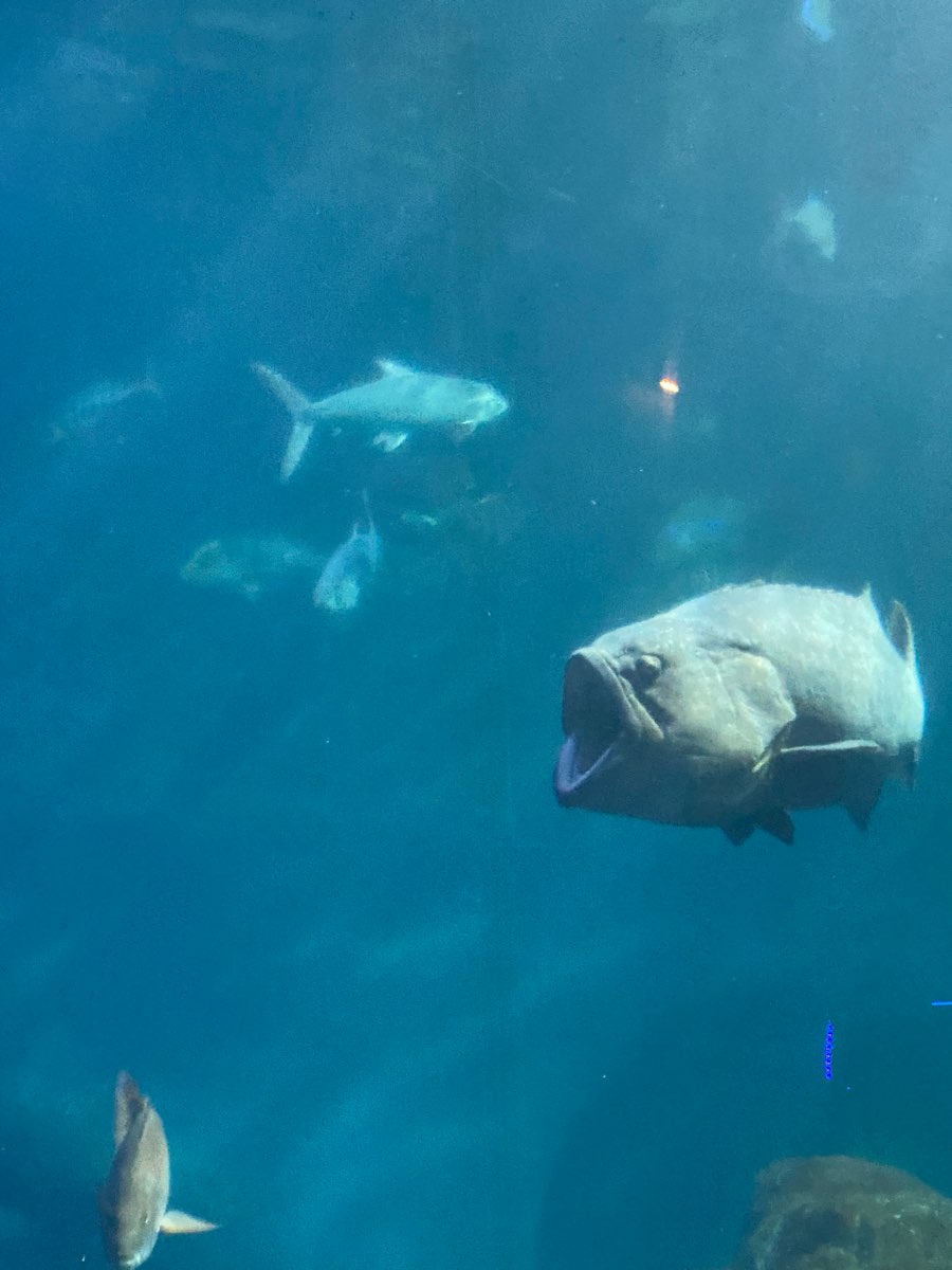 遠雄海洋公園 | 去趣 chicTrip