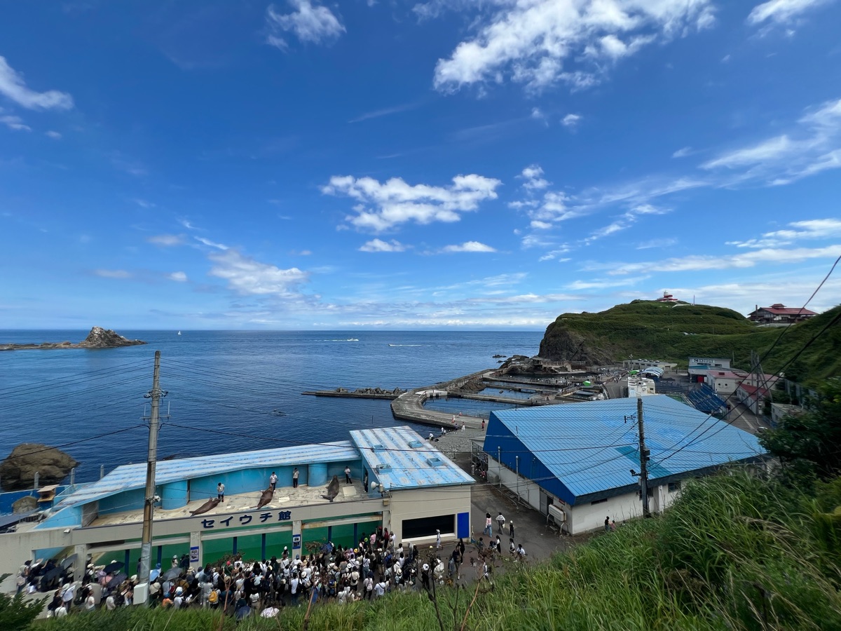 小樽水族館 | 去趣 chicTrip