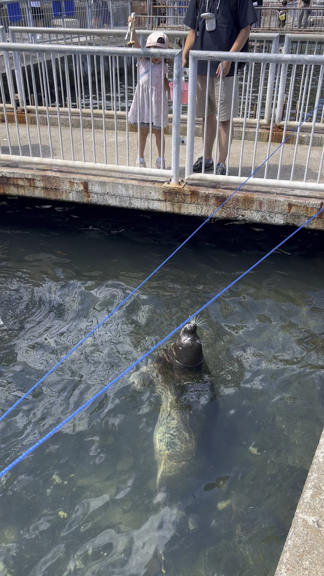 小樽水族館 | 去趣 chicTrip