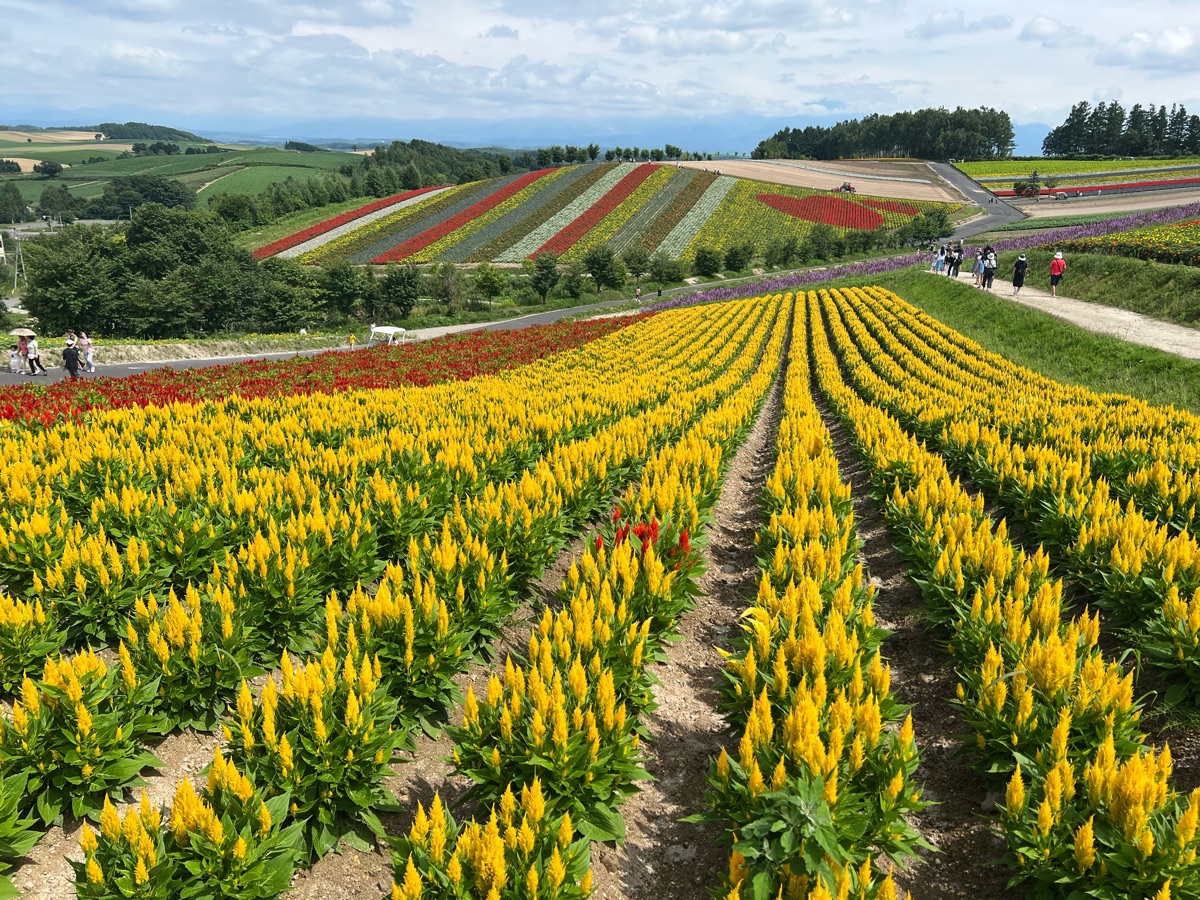 四季彩之丘 | 去趣 chicTrip