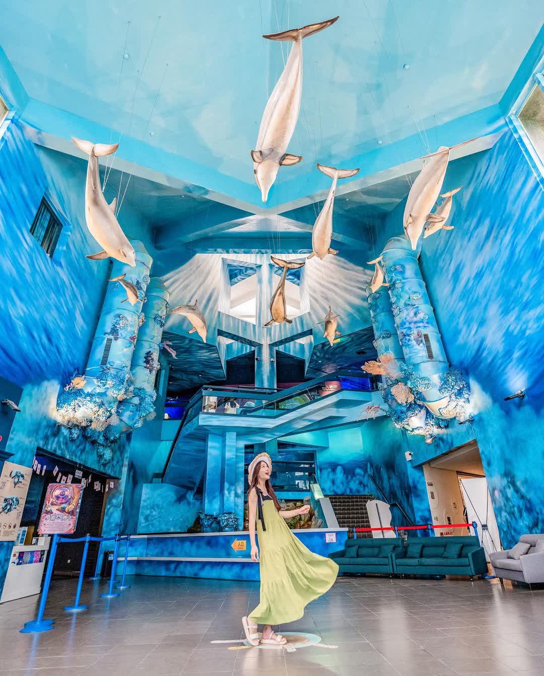 澎湖水族館 | 去趣 chicTrip