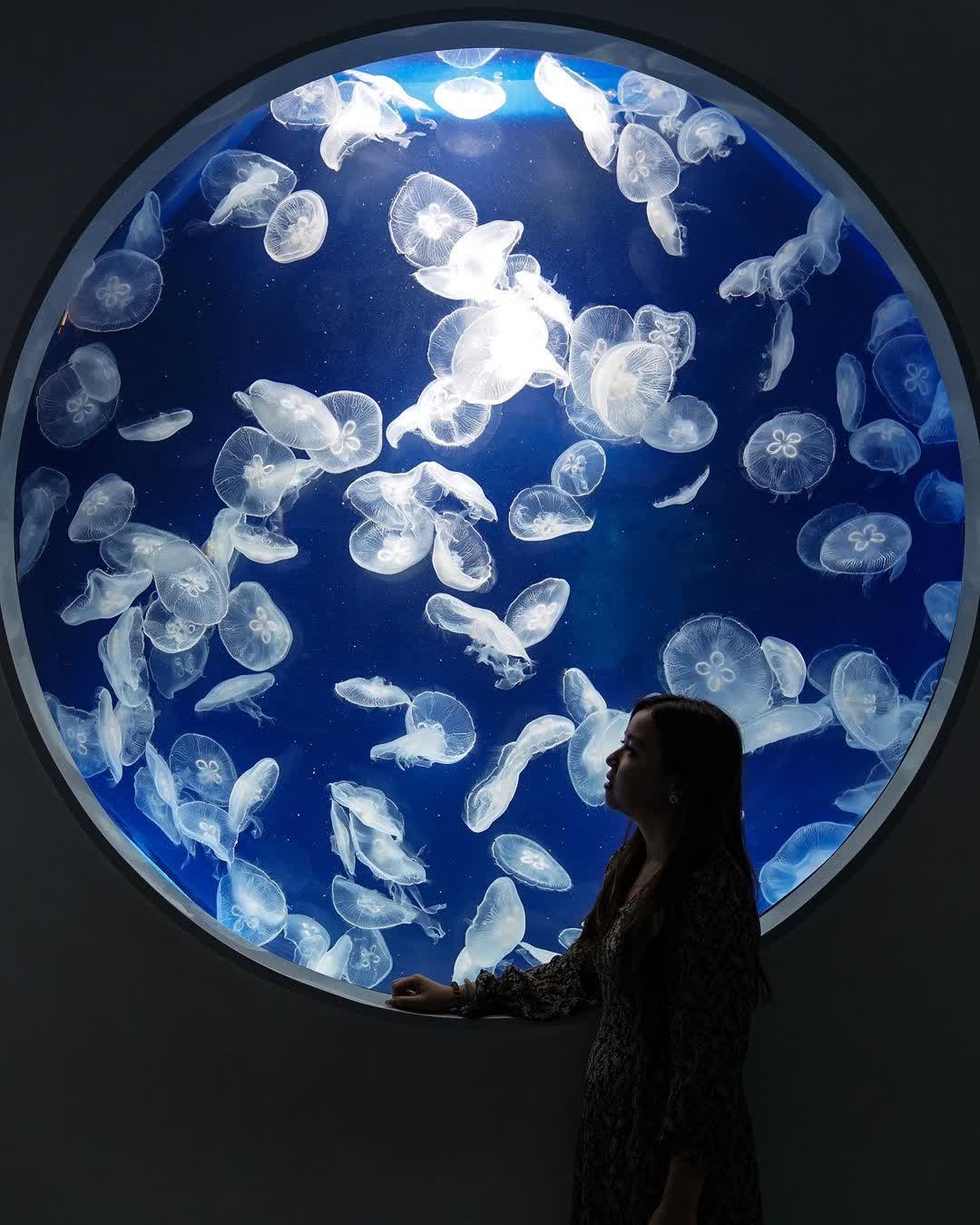 Xpark 水族館 | 去趣 chicTrip