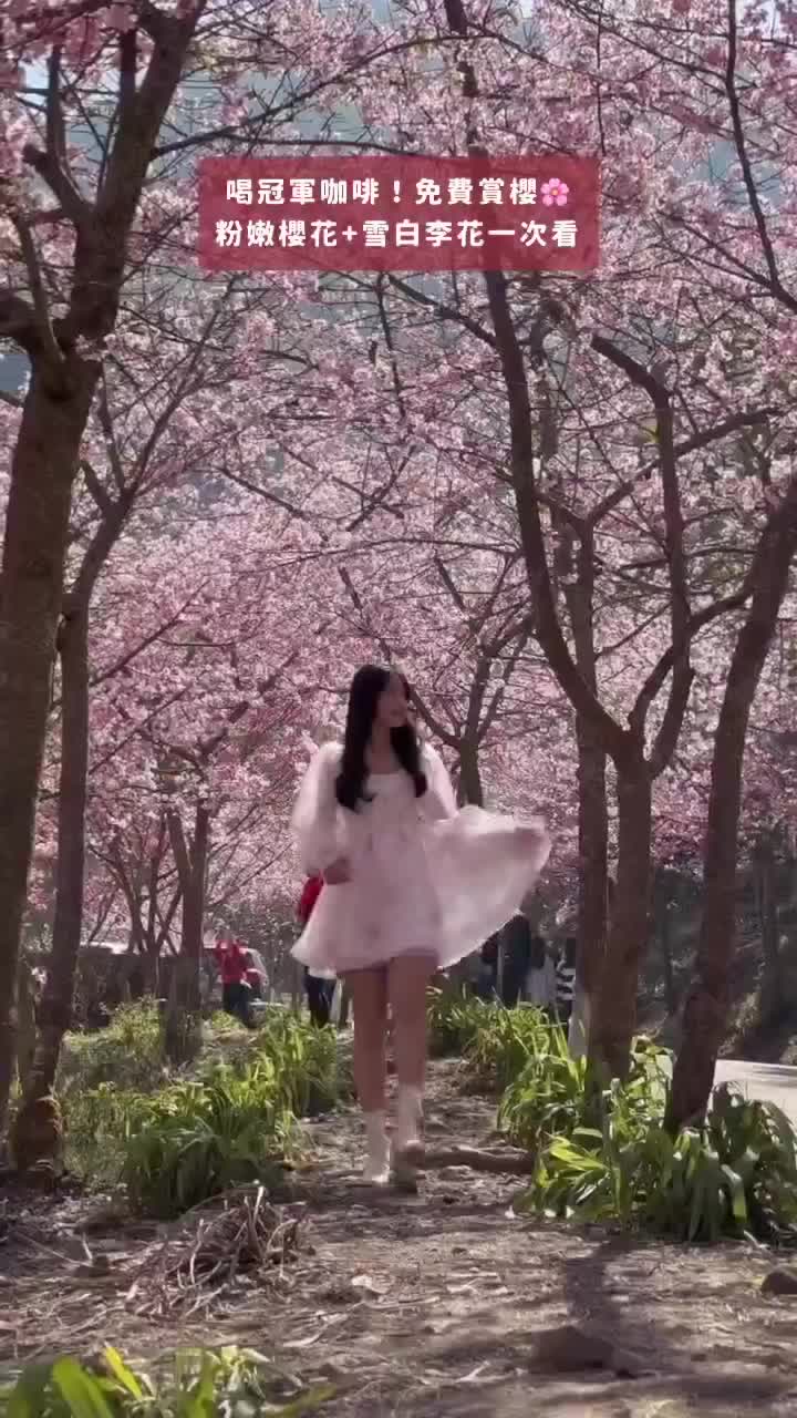 青山坪咖啡農場