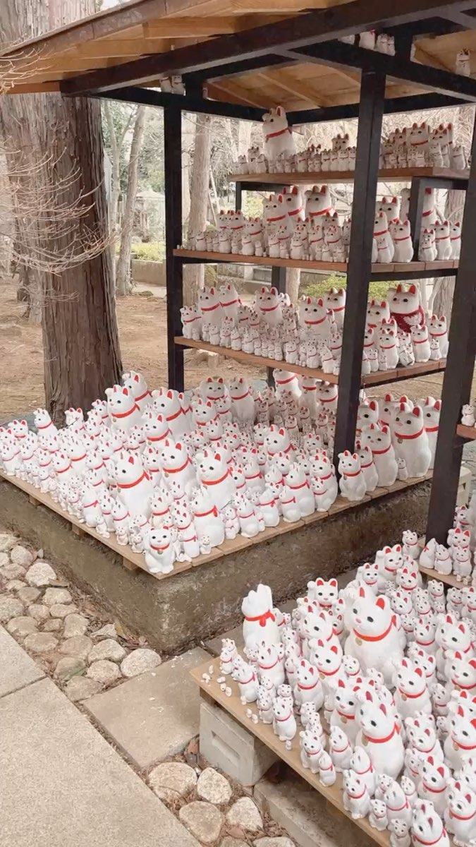 世田谷 豪德寺 | 去趣 chicTrip