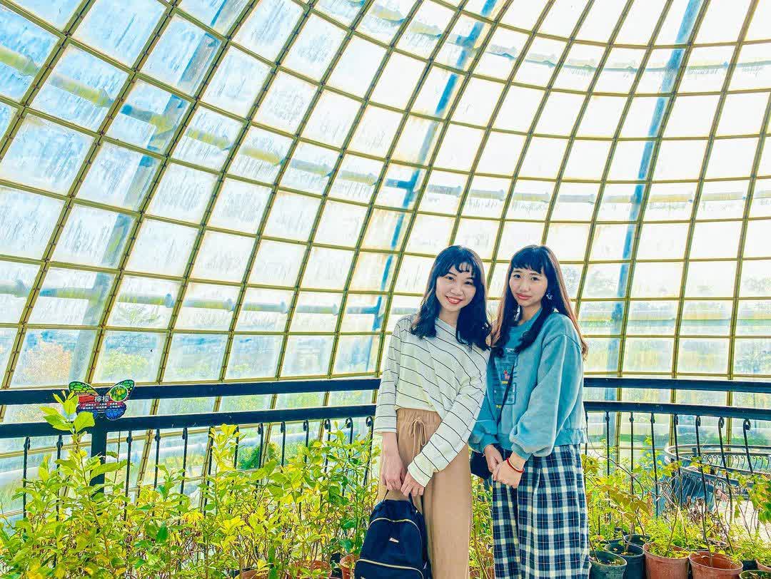 嘉大昆蟲館 | 去趣 chicTrip