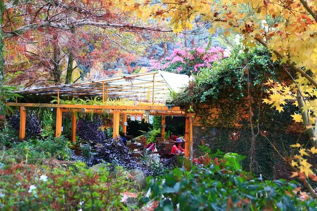 台一生態休閒農場(楓樺台一渡假村) | 去趣 chicTrip