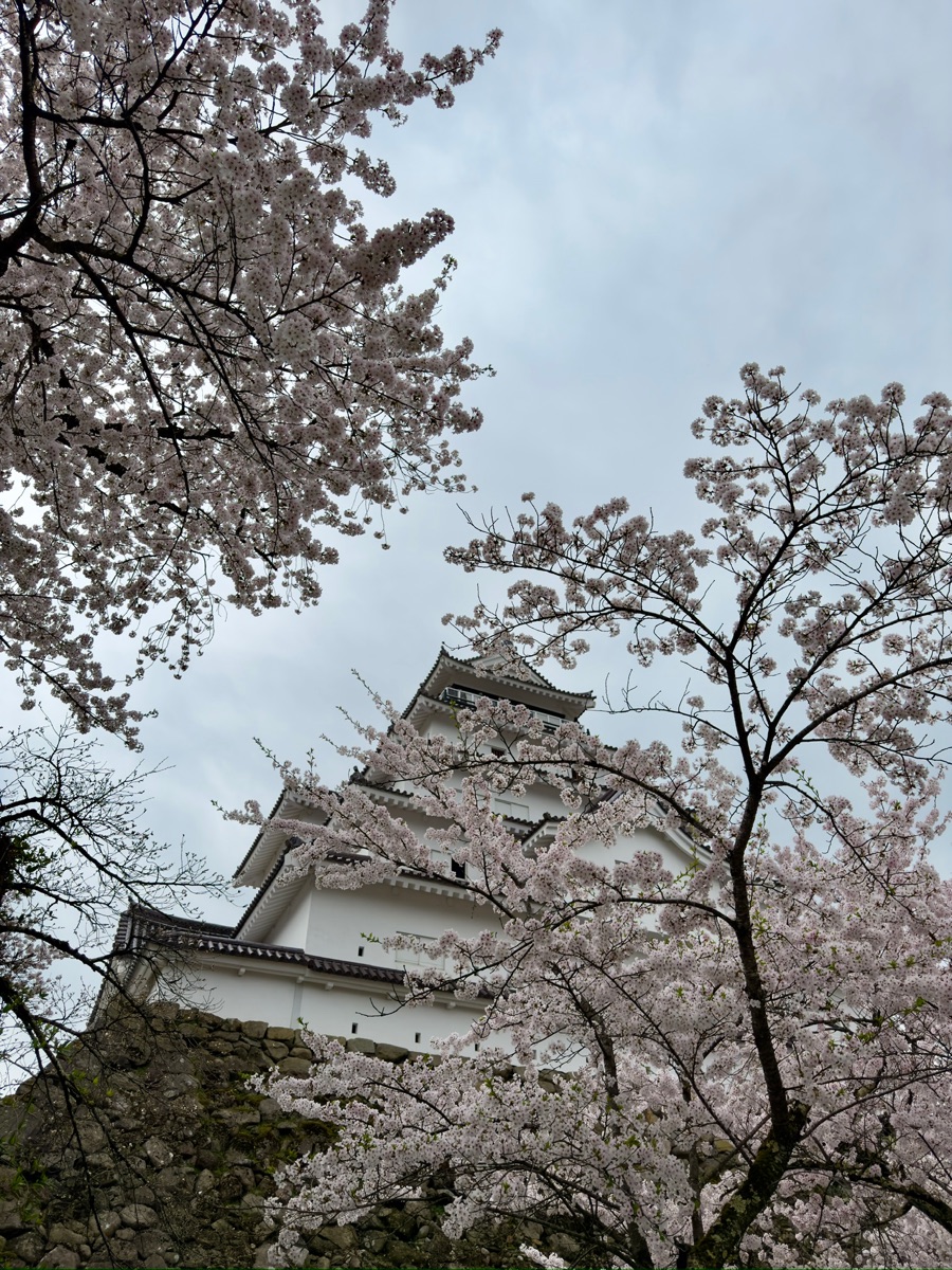 會津若松城 | 去趣 chicTrip