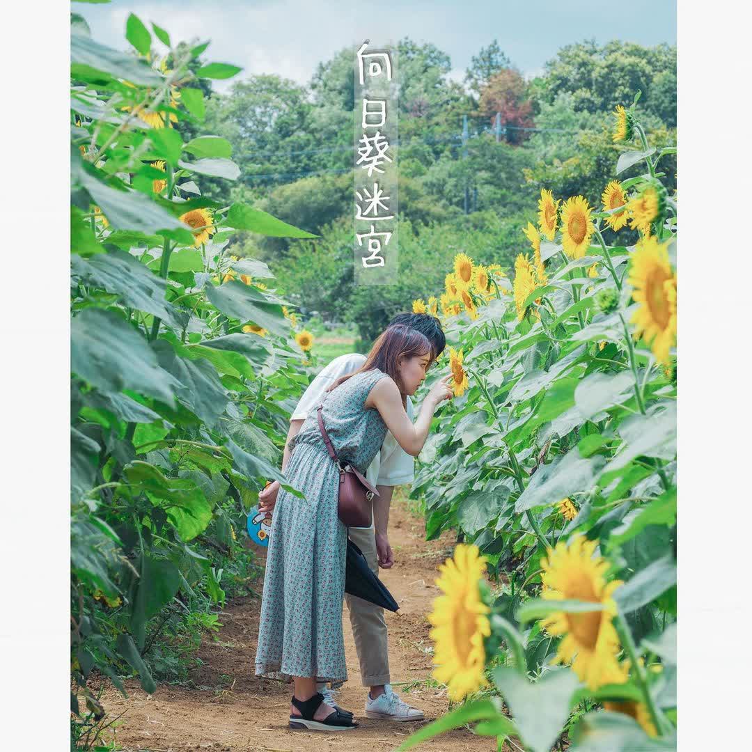 成田 夢牧場 | 去趣 chicTrip