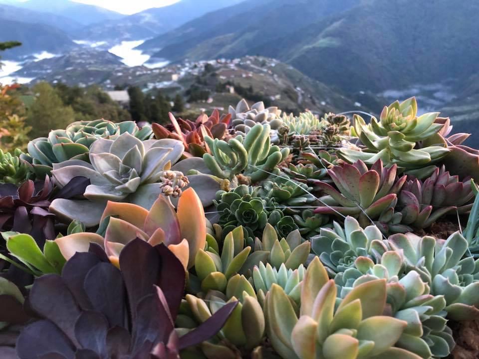 福壽山農場 | 去趣 chicTrip