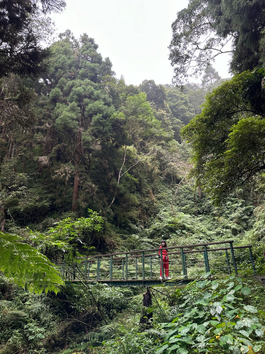 藤枝國家森林遊樂區 | 去趣 chicTrip