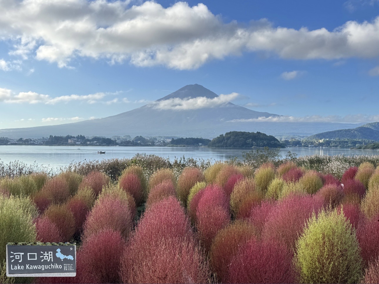 大石公園 | 去趣 chicTrip