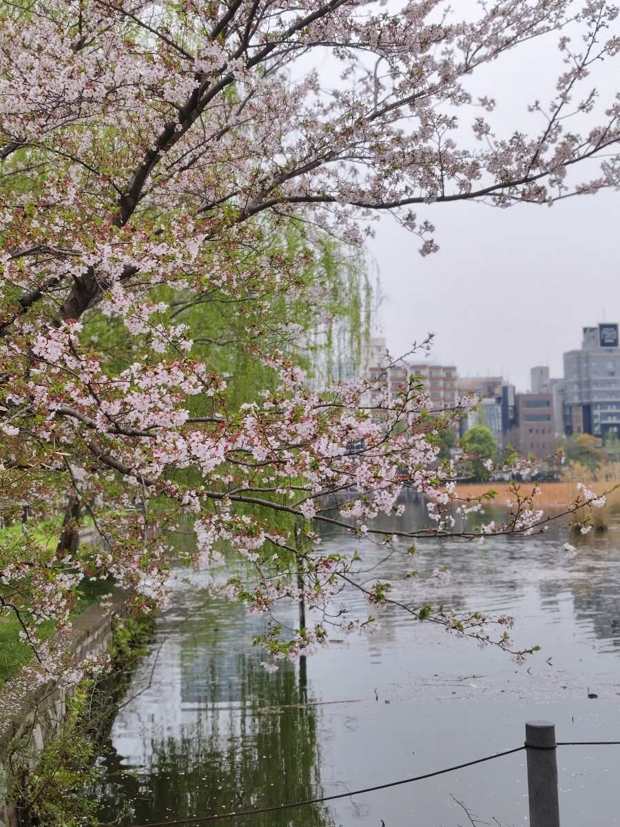 上野恩賜公園 | 去趣 chicTrip