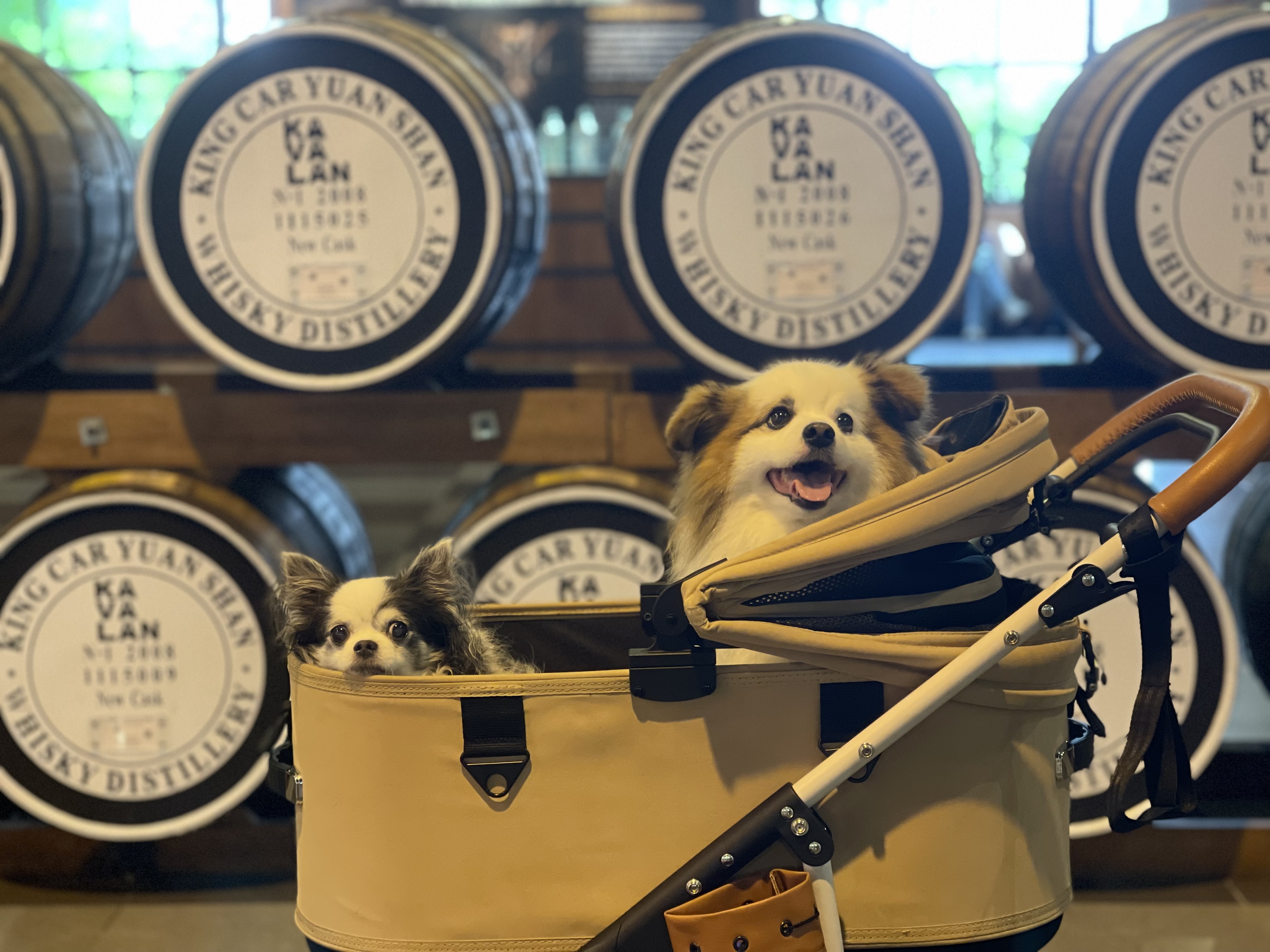 金車噶瑪蘭酒廠 | 去趣 chicTrip