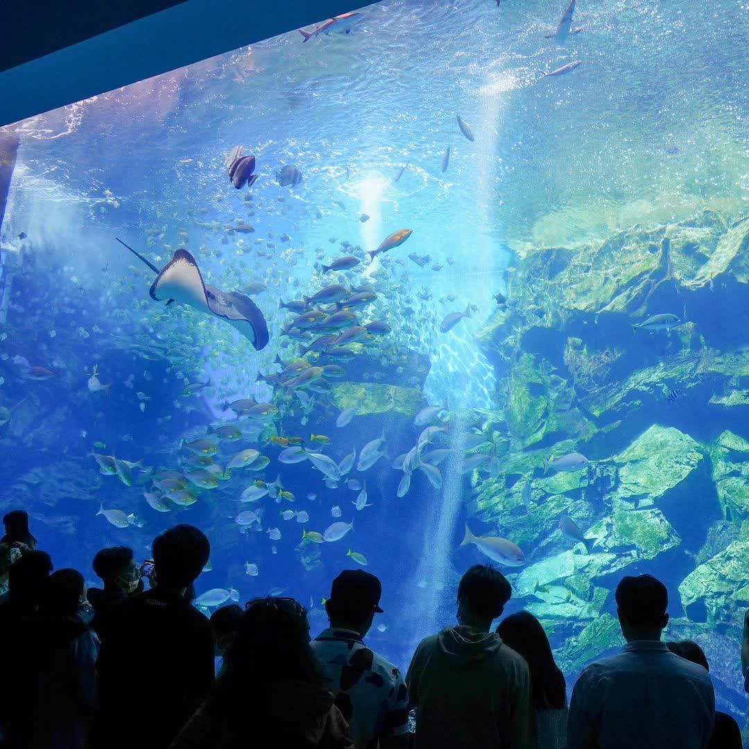 Xpark 水族館 | 去趣 chicTrip