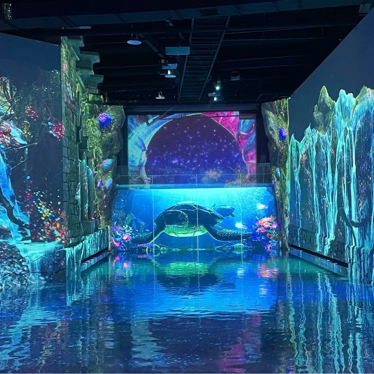 Jeju Waterworld | 去趣 chicTrip