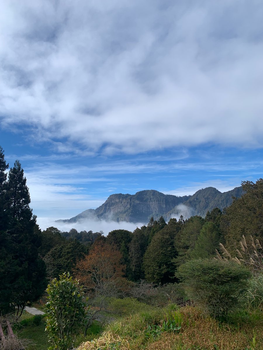 阿里山火車站 | 去趣 chicTrip