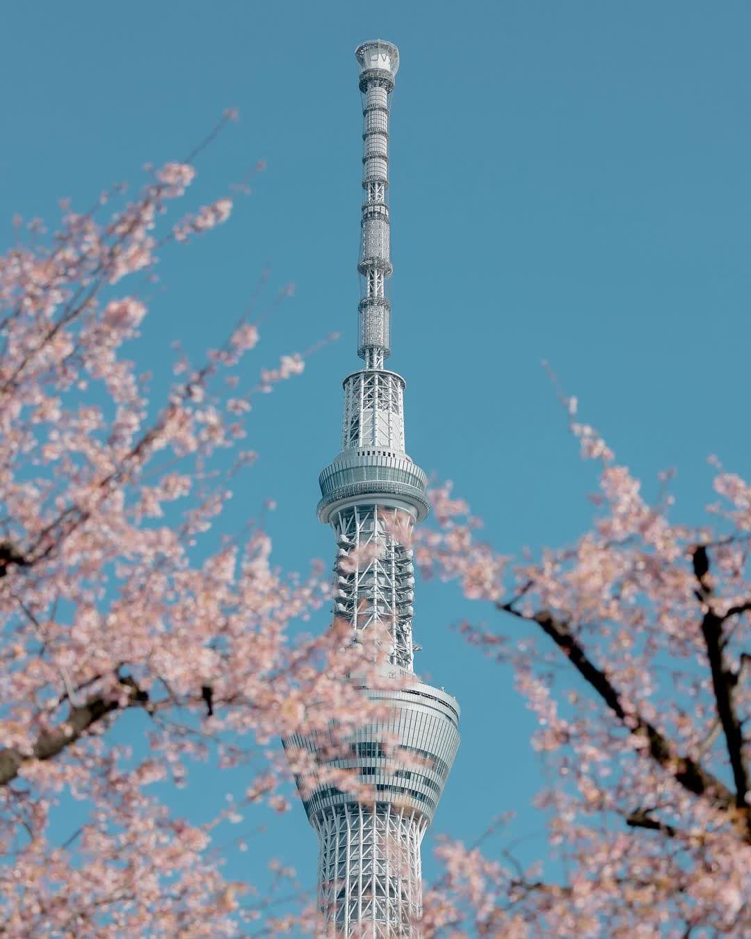 東京晴空塔 | 去趣 chicTrip