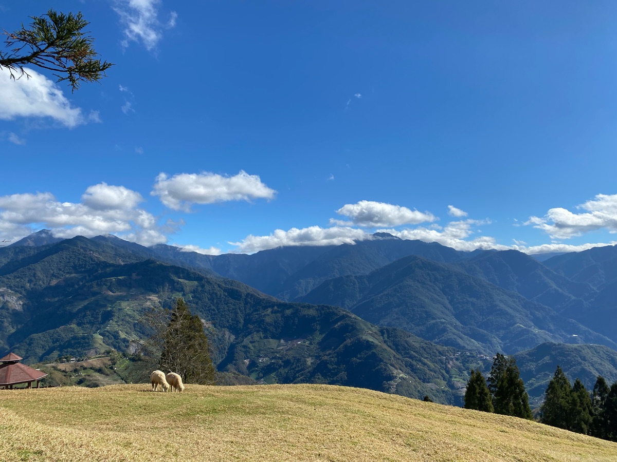 清境農場青青草原 | 去趣 chicTrip