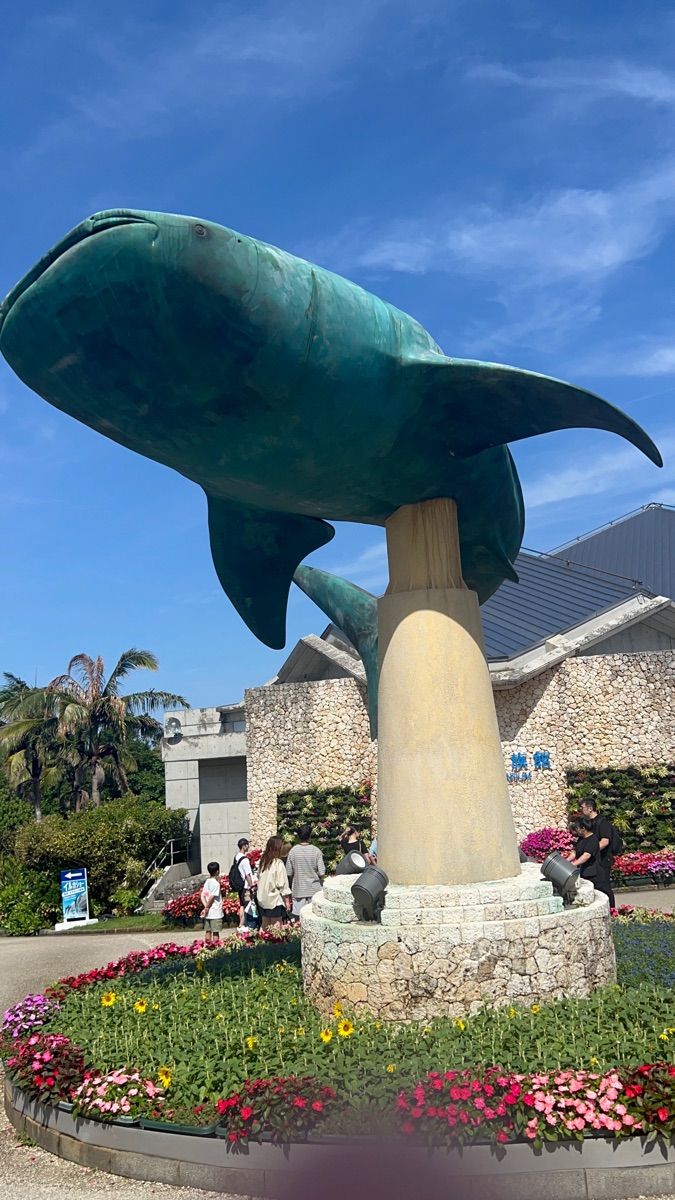 沖繩美麗海水族館 | 去趣 chicTrip