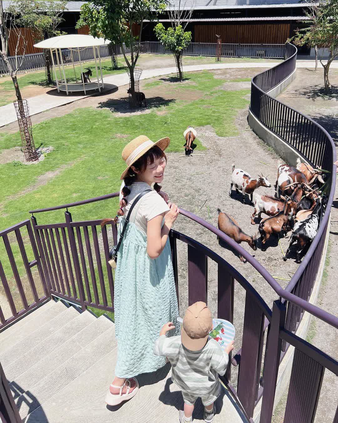 九九峰動物樂園 | 去趣 chicTrip