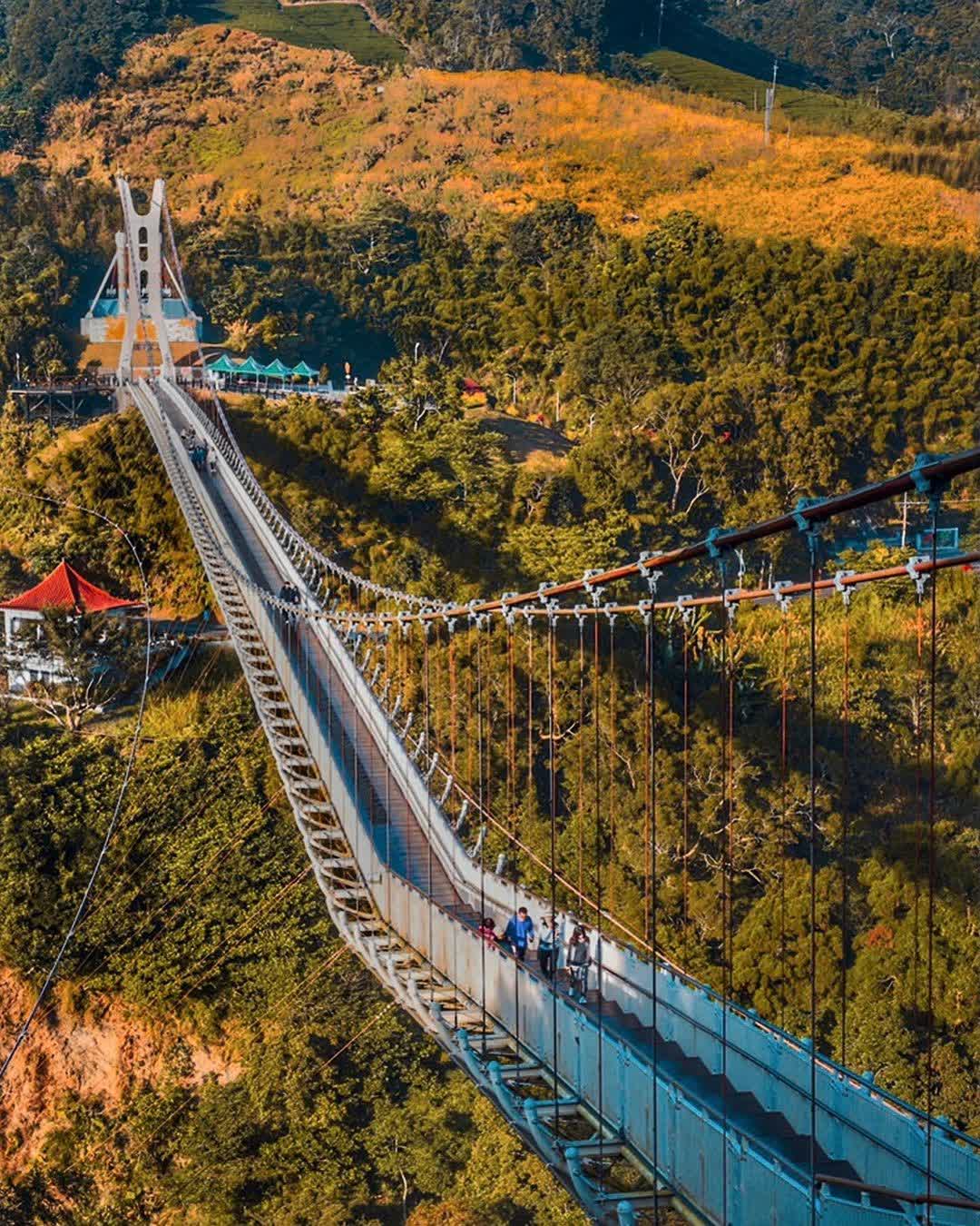 梅山太平雲梯 Taiping Suspension Bridge