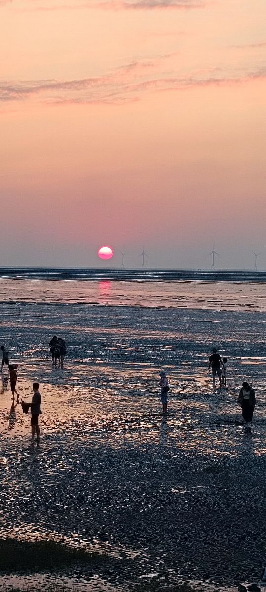 香山濕地賞蟹步道 | 去趣 chicTrip