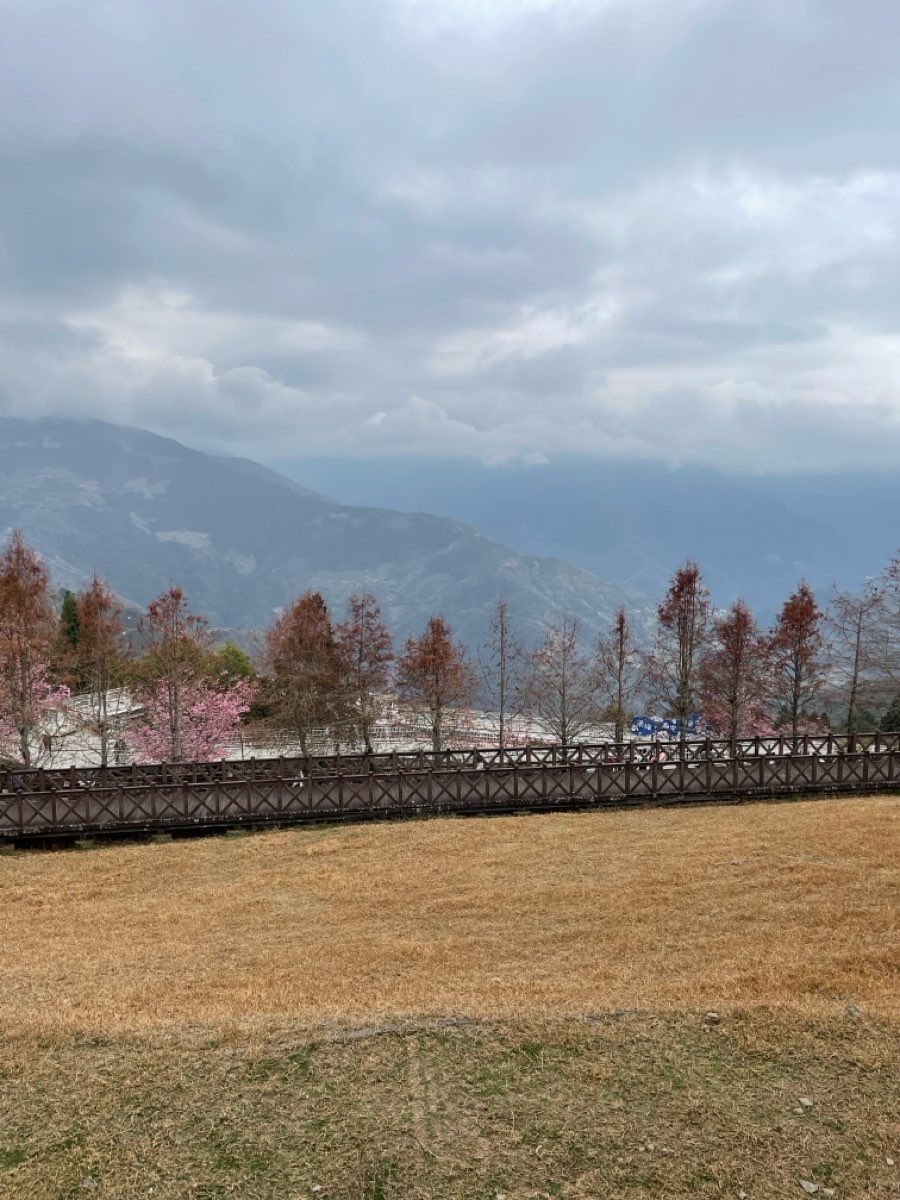 清境農場青青草原 | 去趣 chicTrip