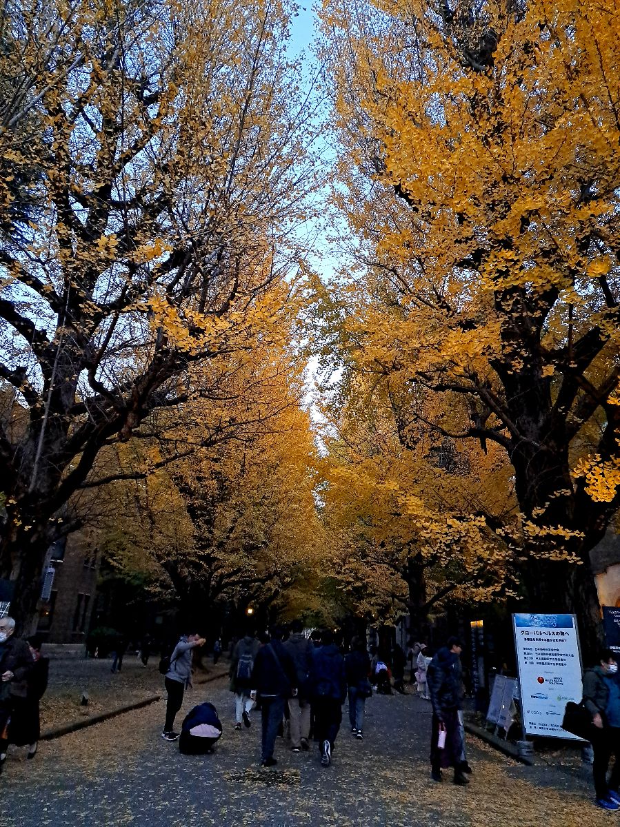 東京大學 | 去趣 chicTrip