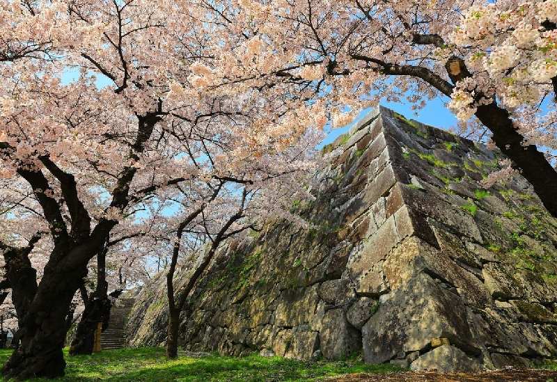 盛岡城跡公園（岩手公園） | 去趣 chicTrip