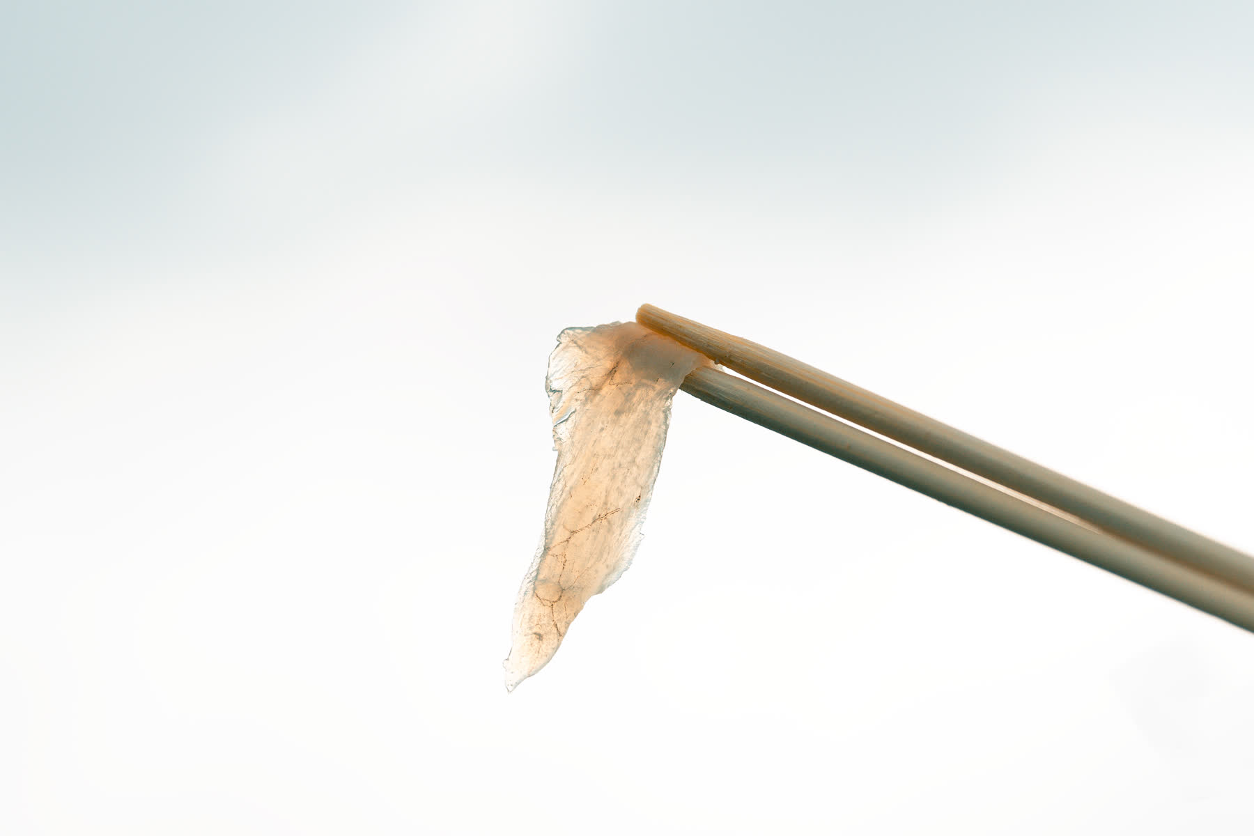 唐戶市場 | 去趣 chicTrip