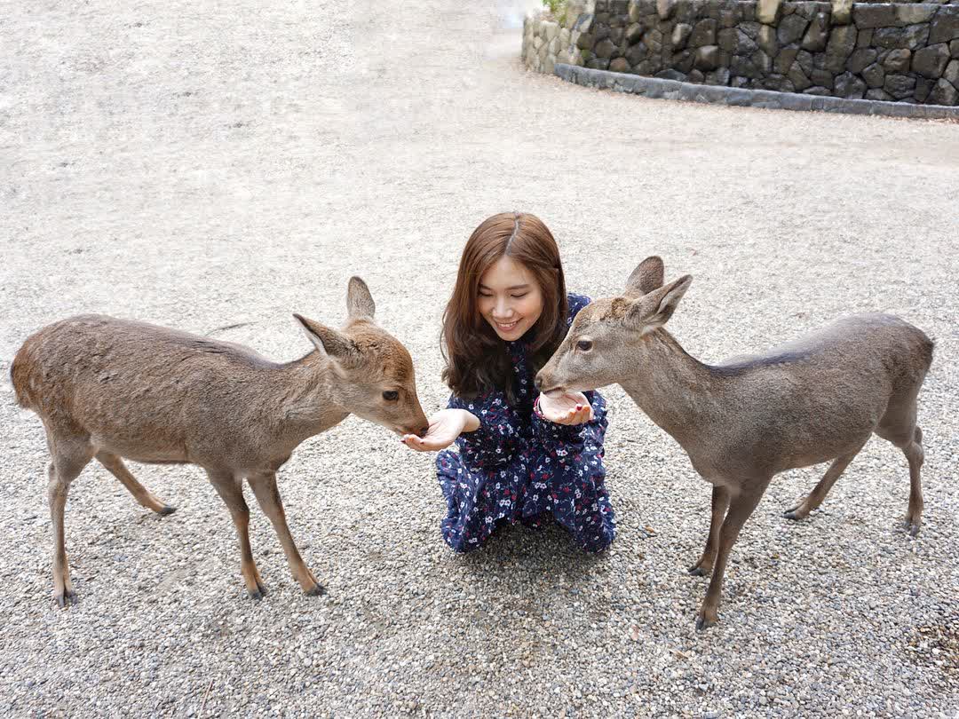 奈良公園 | 去趣 chicTrip